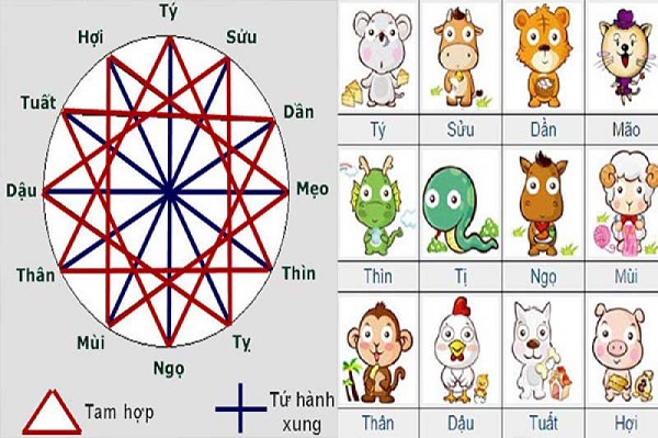 Tính tuổi tam tai theo tam hợp