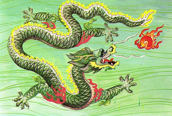 thanh long