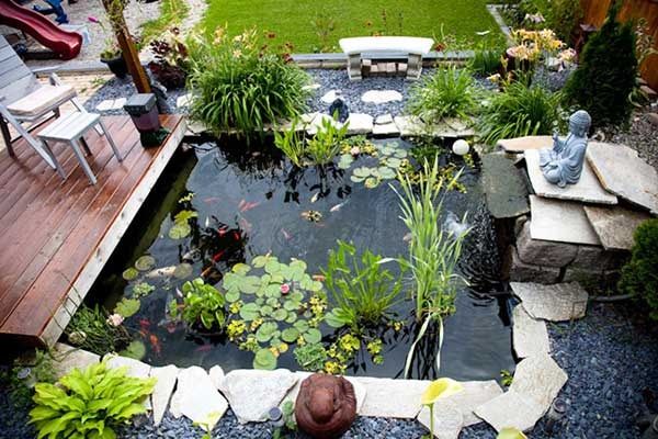 xây hồ cá trước nhà