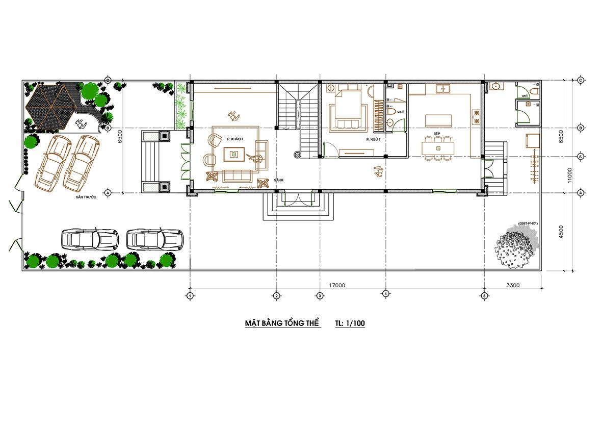 thi công thiết kế mẫu biệt thự tân cổ điển