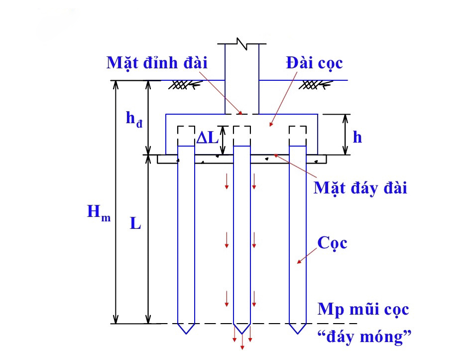 Quy trình thi công móng cọc